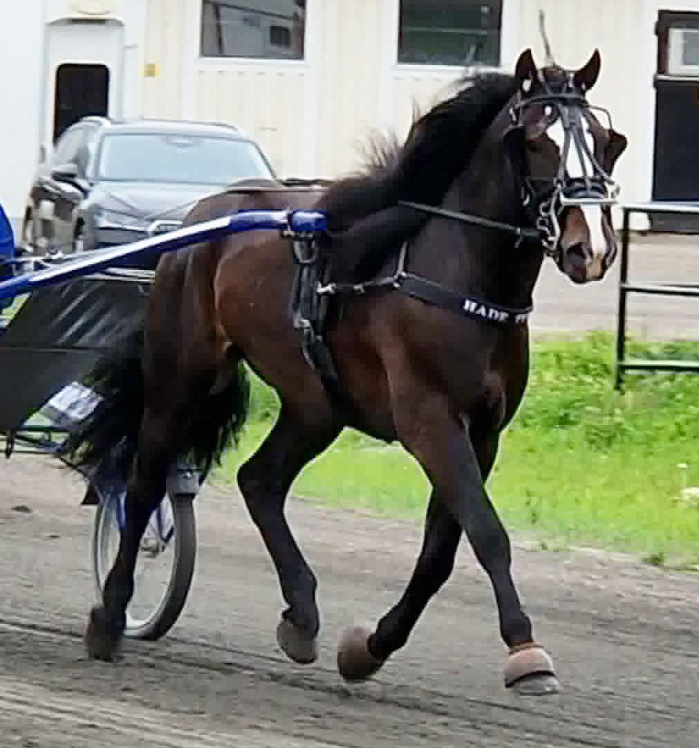 Hade Tur 260626-9